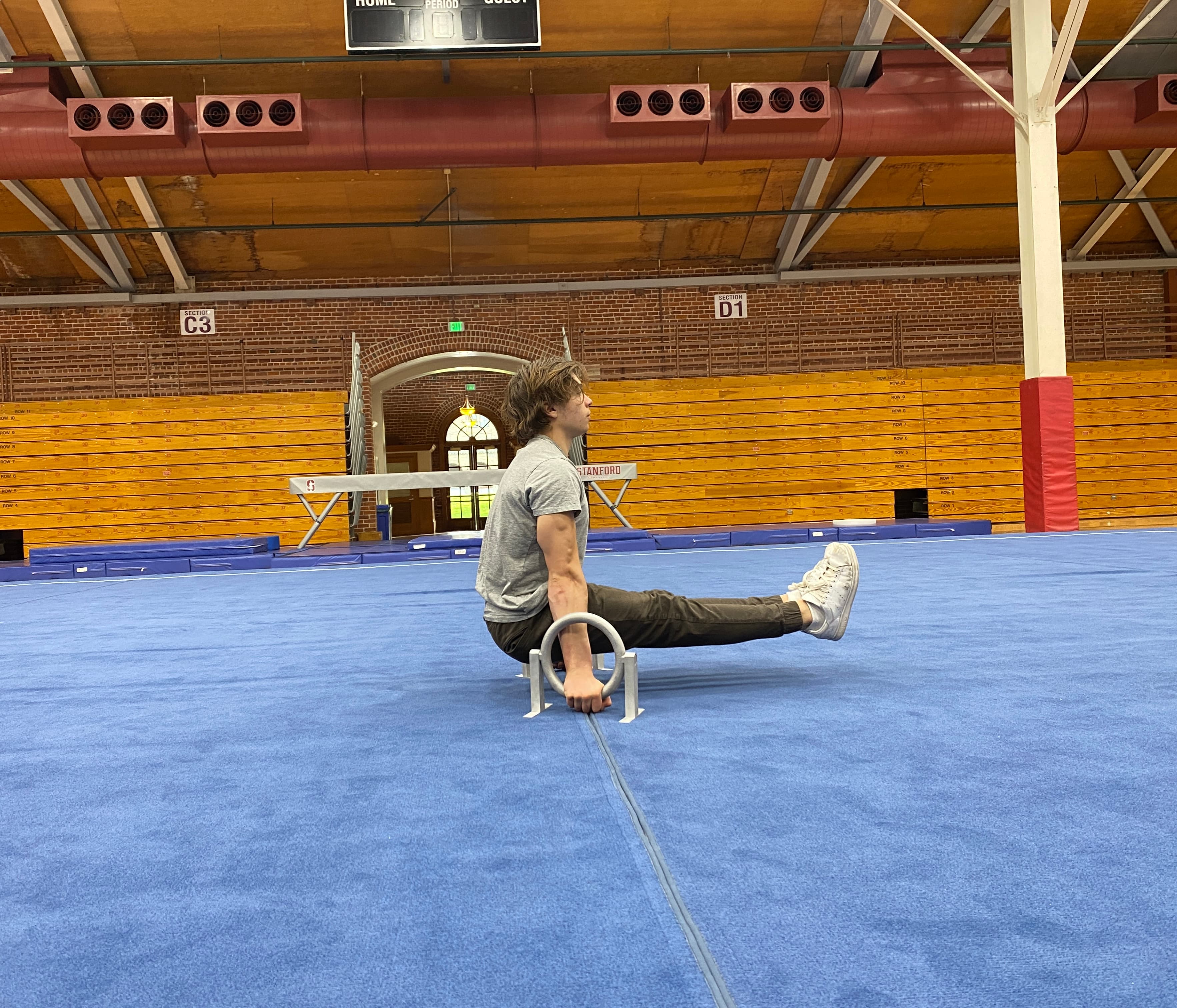 Ringallets in action