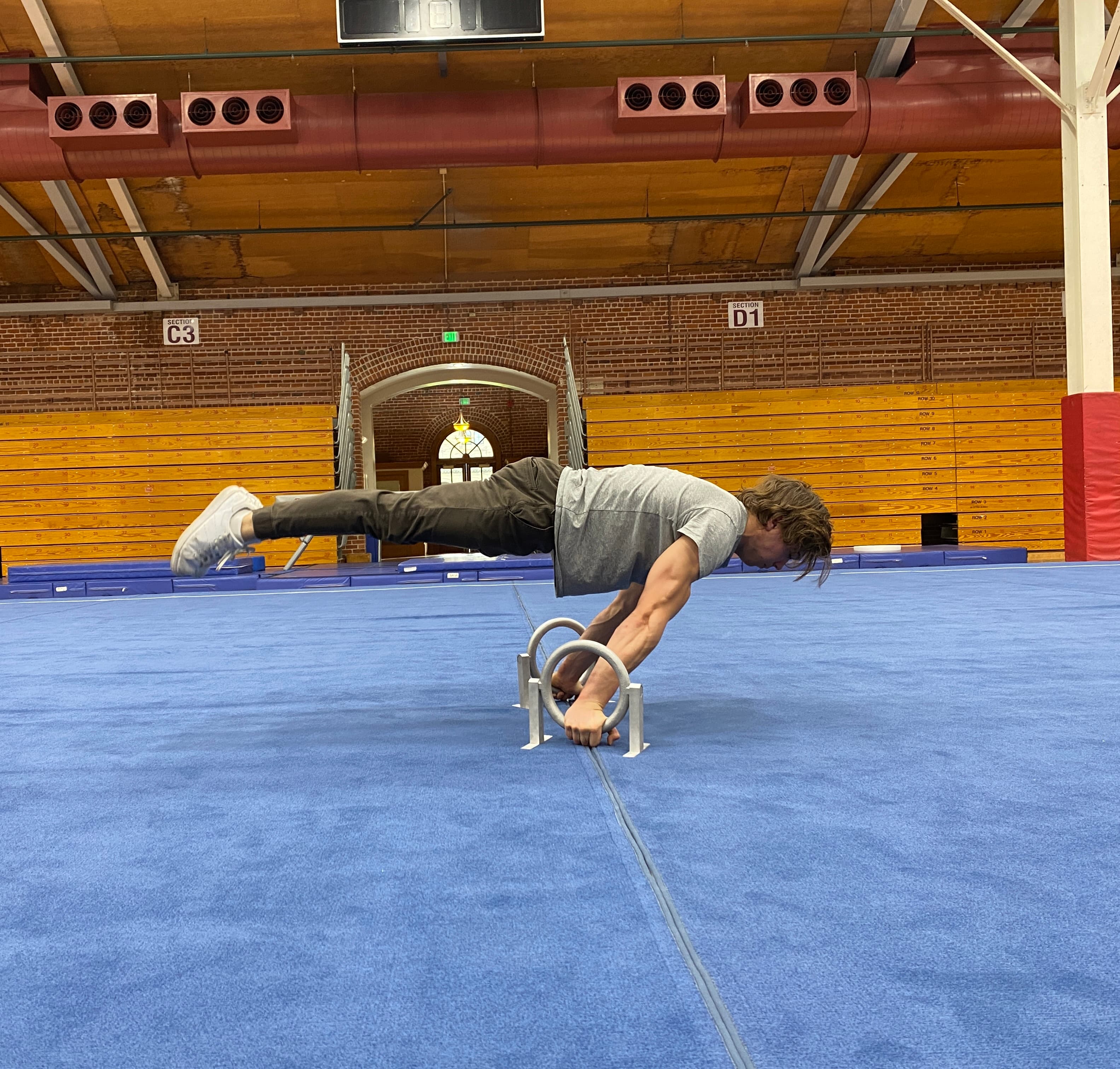 Ringallets in action